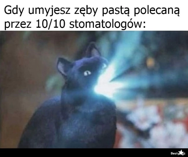 
    Najlepsza pasta na rynku 