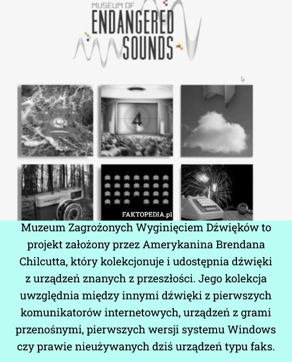 
    Muzeum Zagrożonych Wyginięciem Dźwięków to projekt założony przez Amerykanina
