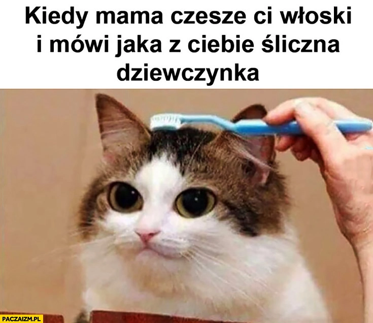 Kiedy mama czesze Ci włoski i mówi jaka z Ciebie śliczna dziewczynka kot