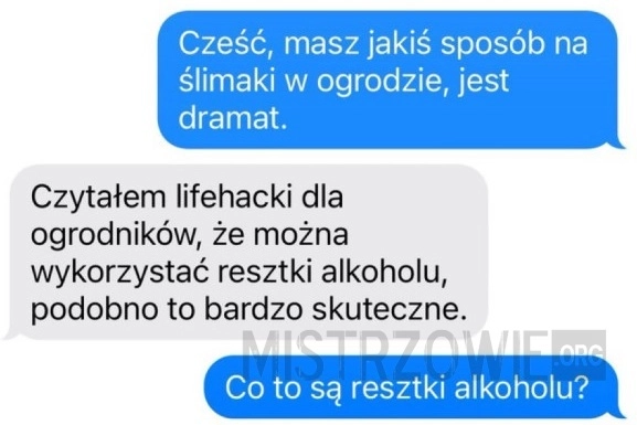 
    Ślimaki