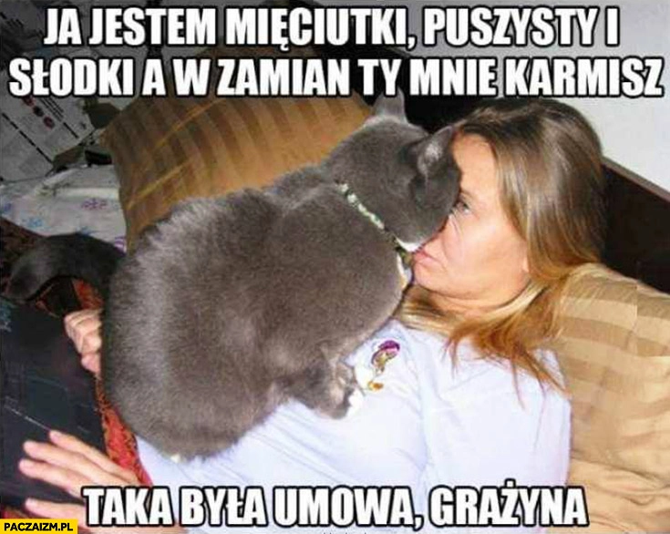 
    Ja jestem mięciutki, puszysty i słodki a w zamian Ty mnie karmisz taka była umowa Grażyna kot
