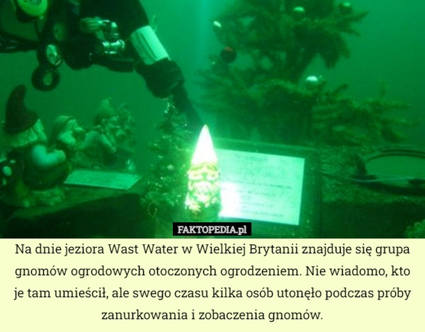 
    Na dnie jeziora Wast Water w Wielkiej Brytanii znajduje się grupa gnomów