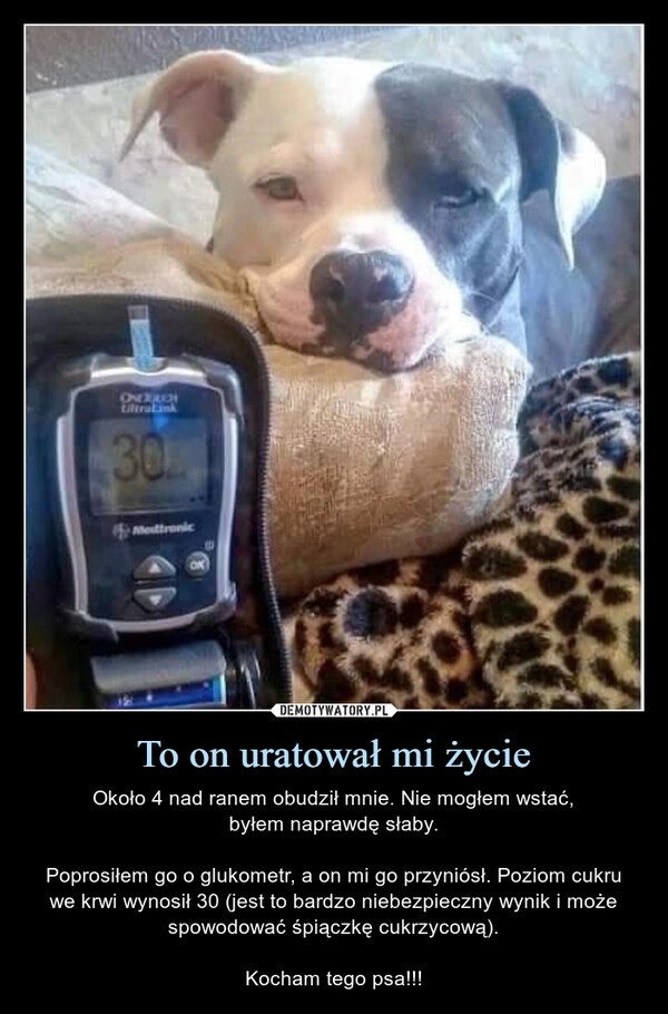 
    To on uratował mi życie