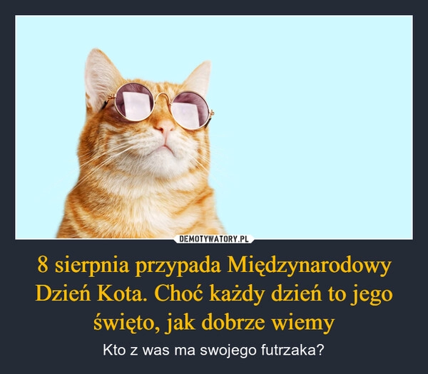 
    8 sierpnia przypada Międzynarodowy Dzień Kota. Choć każdy dzień to jego święto, jak dobrze wiemy