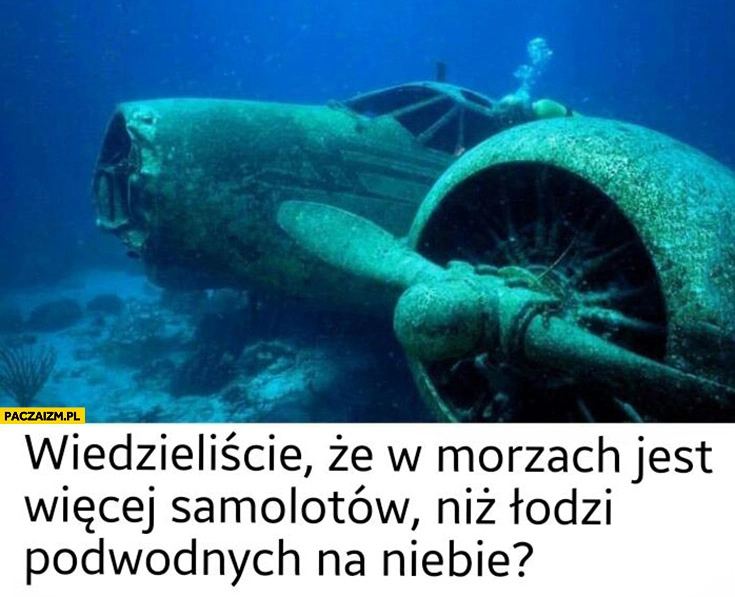 
    Wiedzieliście, że w morzach jest więcej samolotów niż łodzi podwodnych na niebie?