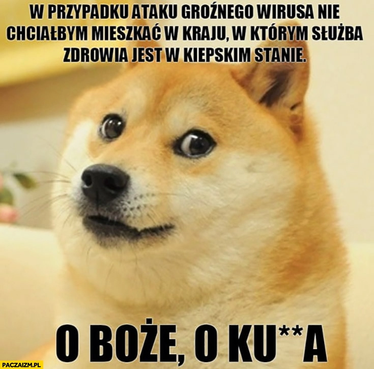 
    W przypadku ataku groźnego wirusa nie chciałbym mieszkać w kraju, w którym służba zdrowia jest w kiepskim stanie, o Boże kurna pieseł doge