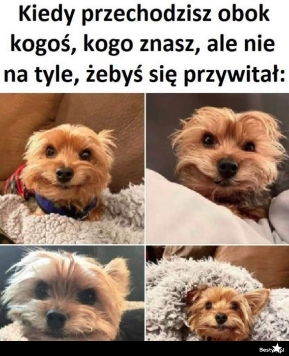 
    Przywitać się czy nie 