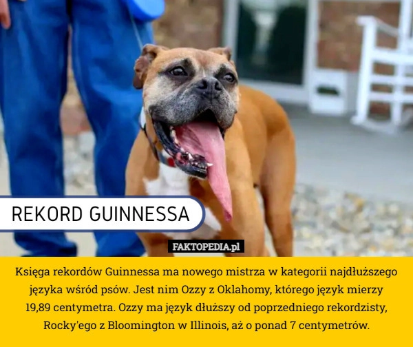 
    Księga rekordów Guinnessa ma nowego mistrza w kategorii najdłuższego języka