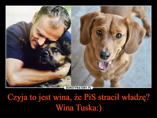 
    Czyja to jest wina, że PiS stracił władzę?
Wina Tuska:)