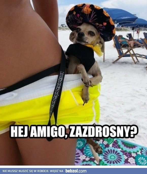 
    Hej Amigo