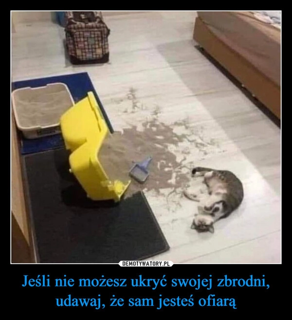 
    Jeśli nie możesz ukryć swojej zbrodni, udawaj, że sam jesteś ofiarą