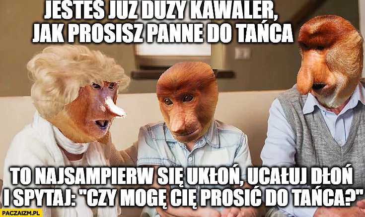 
    Jesteś już duży kawaler jak prosisz pannę do tańca to najpierw się ukłoń, pocałuj dłoń i spytaj czy mogę prosić do tańca? Pioter typowy Polak nosacz małpa