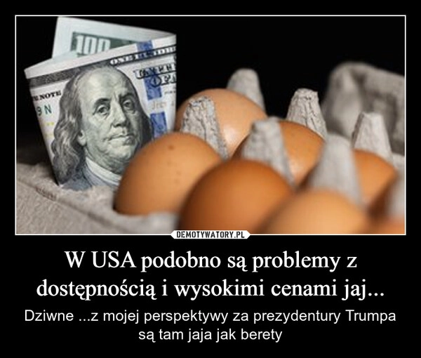 
    W USA podobno są problemy z dostępnością i wysokimi cenami jaj...