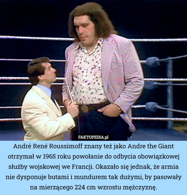 
    André René Roussimoff znany też jako Andre the Giant otrzymał w 1965 roku