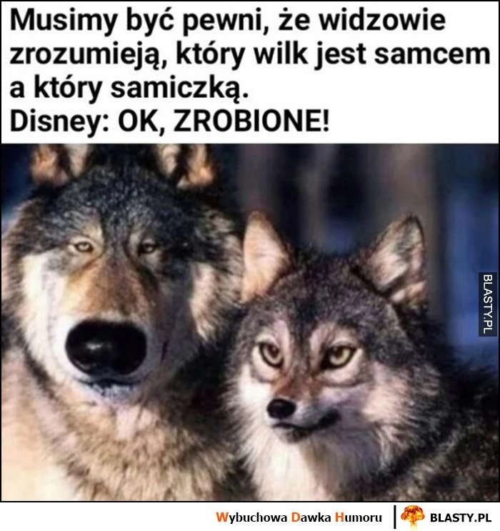 
    Musimy być pewni, że widzowie zrozumieją który wilk jest samcem, a który samiczką. Disney: ok zrobione