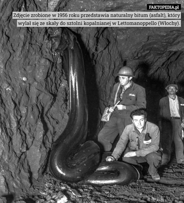 
    Zdjęcie zrobione w 1956 roku przedstawia naturalny bitum (asfalt), który