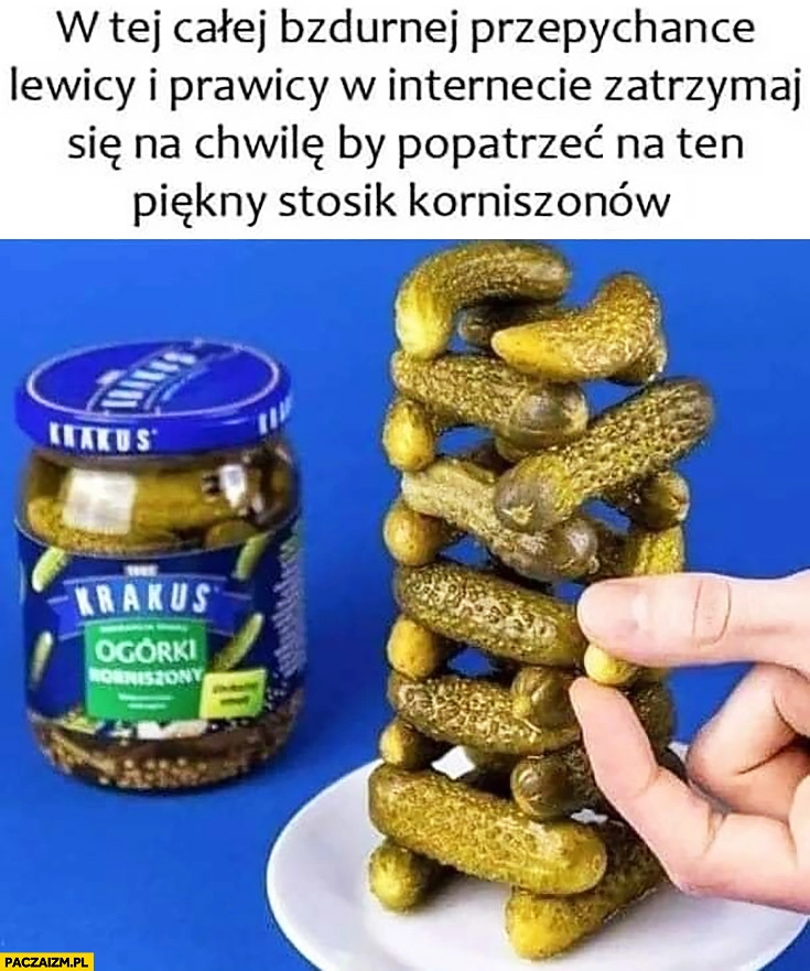 
    W tej całej bzdurnej przepychance lewicy i prawicy w internecie zatrzymaj się na chwile by popatrzeć na ten piękny stosik korniszonów ogórki