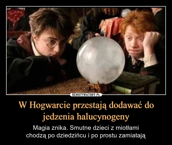 
    W Hogwarcie przestają dodawać do jedzenia halucynogeny