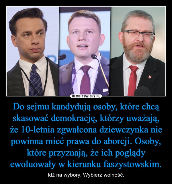 
    Do sejmu kandydują osoby, które chcą skasować demokrację, którzy uważają, że 10-letnia zgwałcona dziewczynka nie powinna mieć prawa do aborcji. Osoby, które przyznają, że ich poglądy ewoluowały w kierunku faszystowskim.