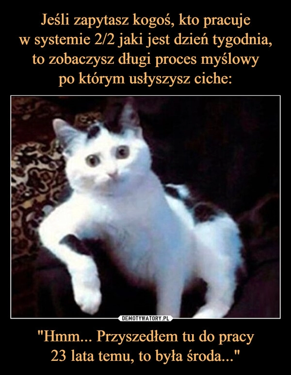 
    Jeśli zapytasz kogoś, kto pracuje
w systemie 2/2 jaki jest dzień tygodnia,
to zobaczysz długi proces myślowy
po którym usłyszysz ciche: "Hmm... Przyszedłem tu do pracy
23 lata temu, to była środa..."