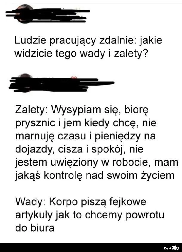 
    Wady i zalety pracy zdalnej 