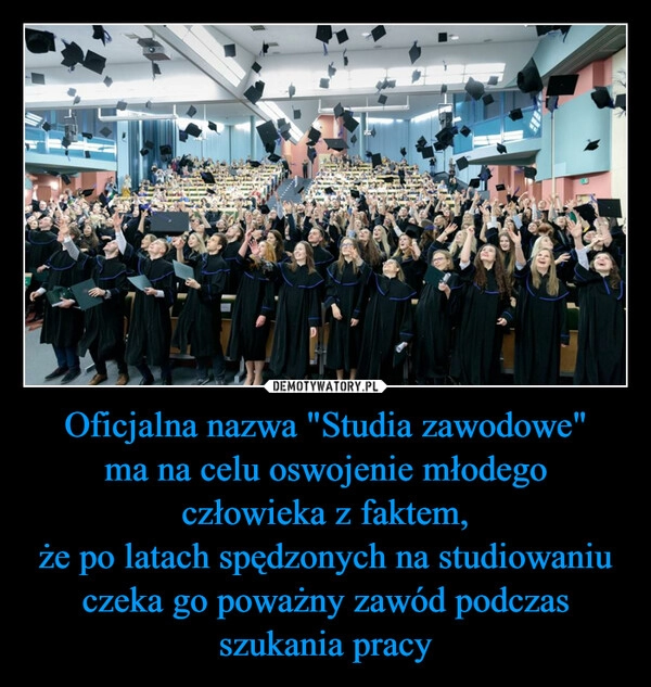 
    Oficjalna nazwa "Studia zawodowe"
ma na celu oswojenie młodego człowieka z faktem,
że po latach spędzonych na studiowaniu czeka go poważny zawód podczas szukania pracy