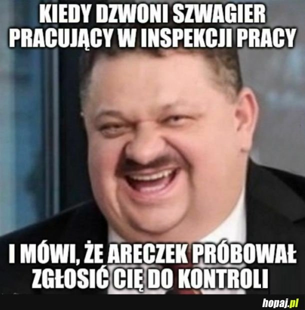 
    Fikołki Areczka