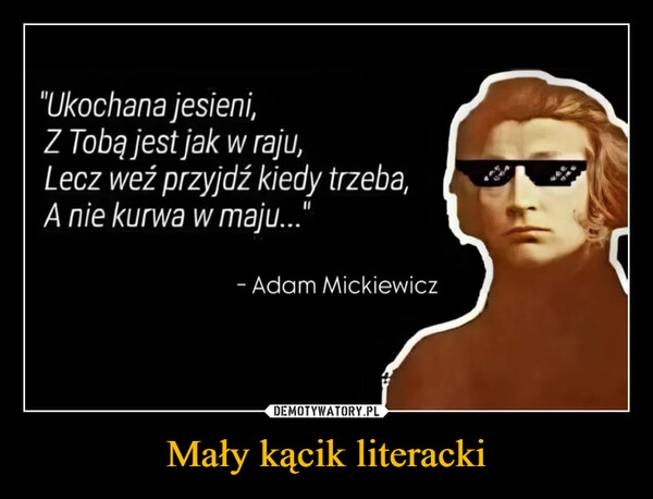 
    Mały kącik literacki