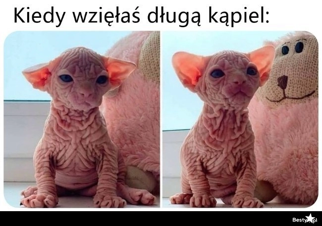 
    Długa kąpiel 