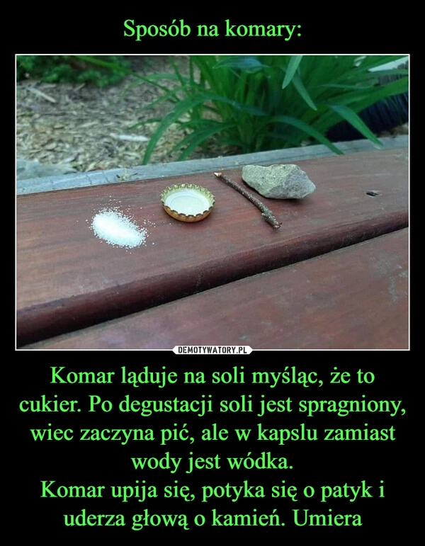 
    Sposób na komary: Komar ląduje na soli myśląc, że to cukier. Po degustacji soli jest spragniony, wiec zaczyna pić, ale w kapslu zamiast wody jest wódka.
Komar upija się, potyka się o patyk i uderza głową o kamień. Umiera