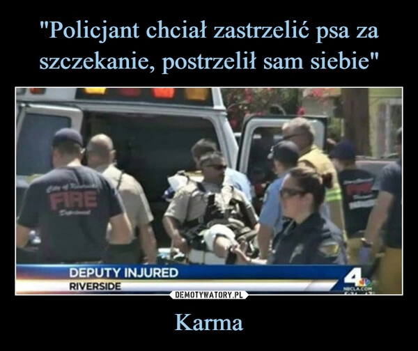 
    "Policjant chciał zastrzelić psa za szczekanie, postrzelił sam siebie" Karma