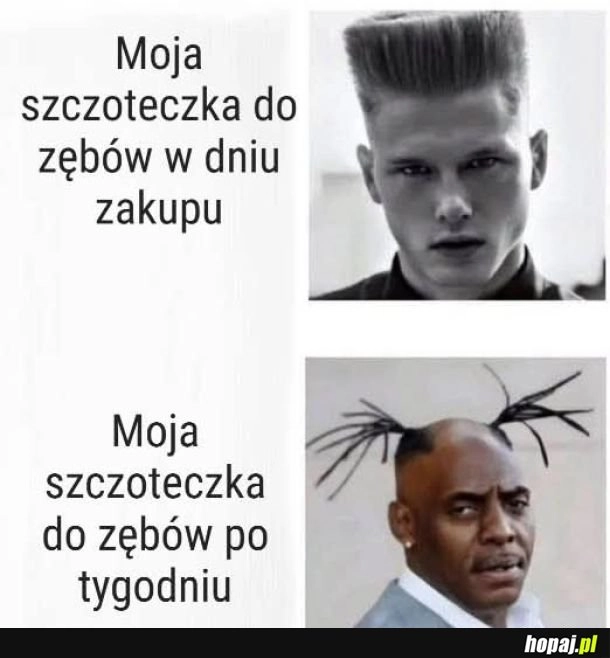 
    Dokładnie