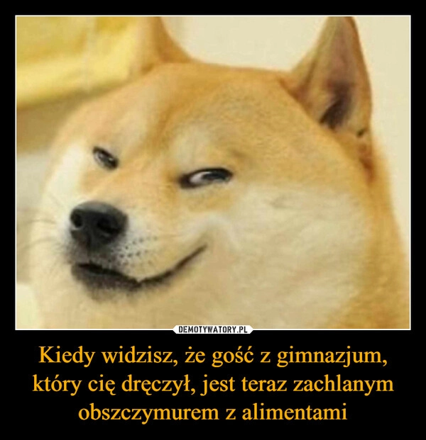 
    Kiedy widzisz, że gość z gimnazjum, który cię dręczył, jest teraz zachlanym obszczymurem z alimentami
