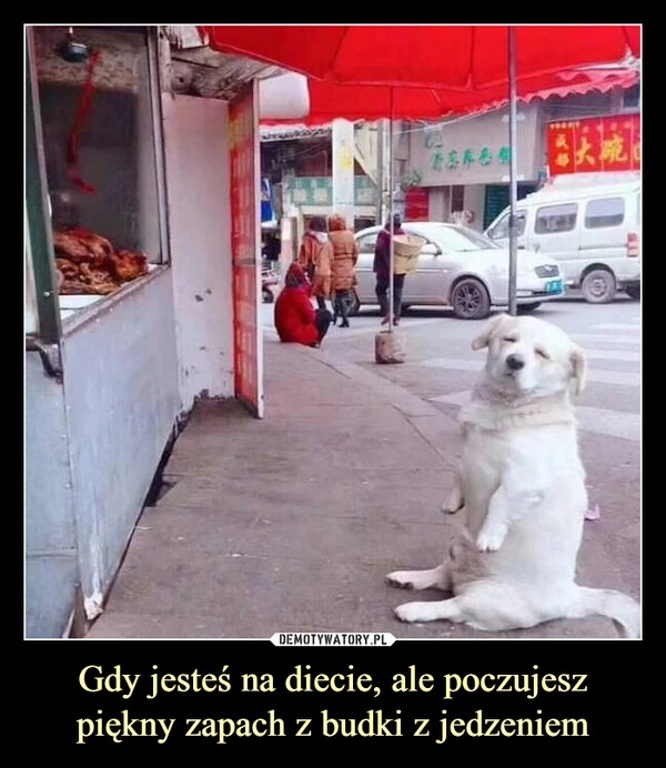 
    Gdy jesteś na diecie, ale poczujesz piękny zapach z budki z jedzeniem