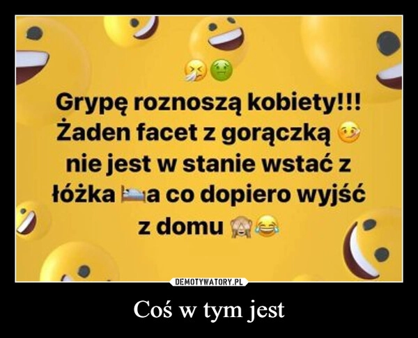 
    Coś w tym jest
