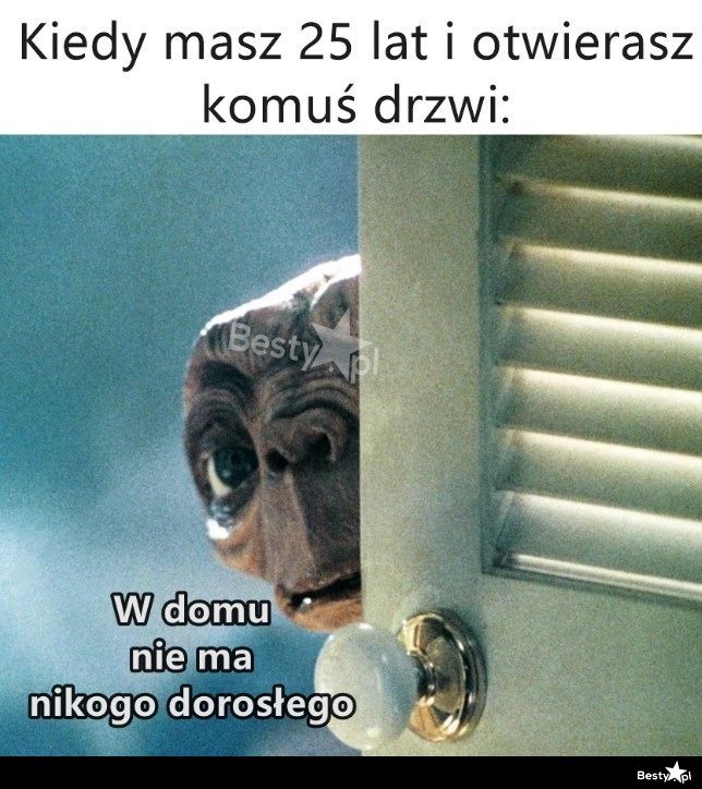 
    Proszę przyjść nigdy 