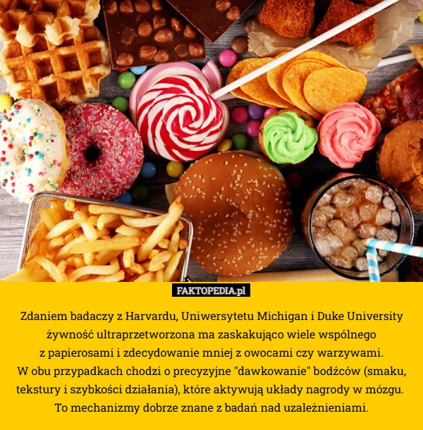 
    Zdaniem badaczy z Harvardu, Uniwersytetu Michigan i Duke University żywność