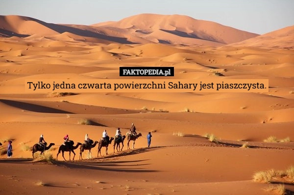 
    Tylko jedna czwarta powierzchni Sahary jest piaszczysta.