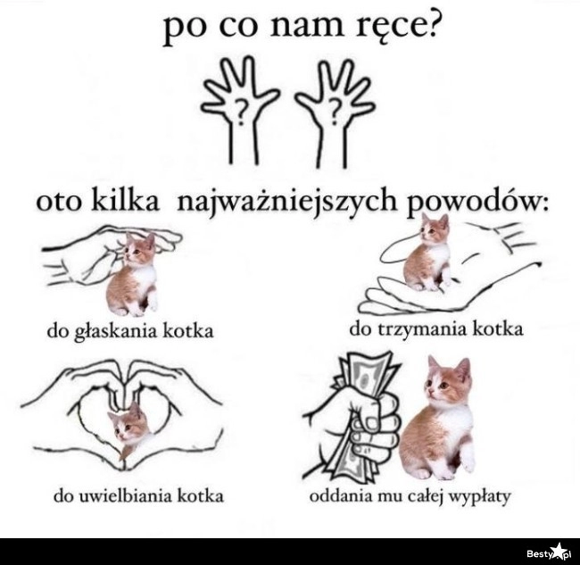 
    Po co nam ręce? 