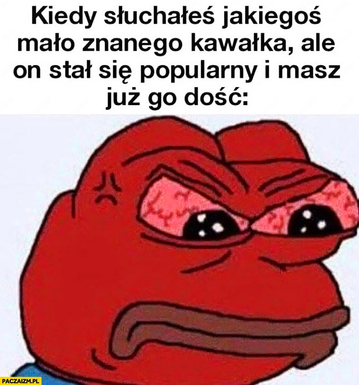 
    Kiedy słuchałeś jakiegoś mało znanego kawałka ale stał się popularny i masz go już dość zły wściekły żaba Pepe