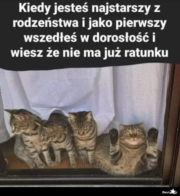 
    Najstarszy z rodzeństwa 