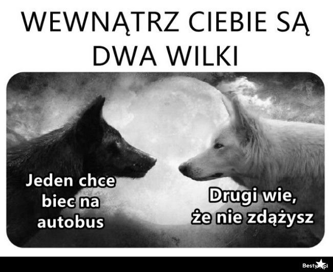 
    Dwa wilki 