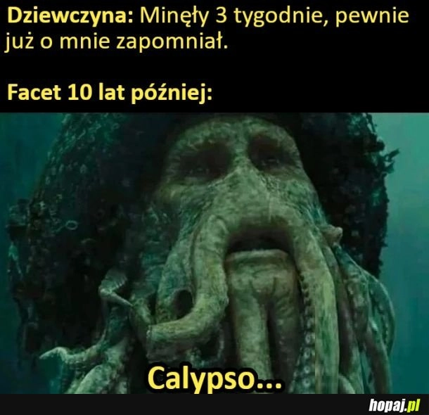 
    Koń