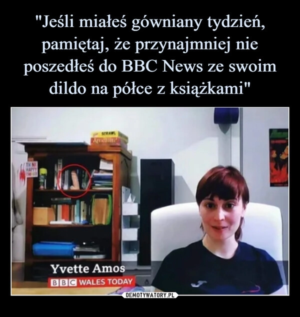 
    "Jeśli miałeś gówniany tydzień, pamiętaj, że przynajmniej nie poszedłeś do BBC News ze swoim dildo na półce z książkami"