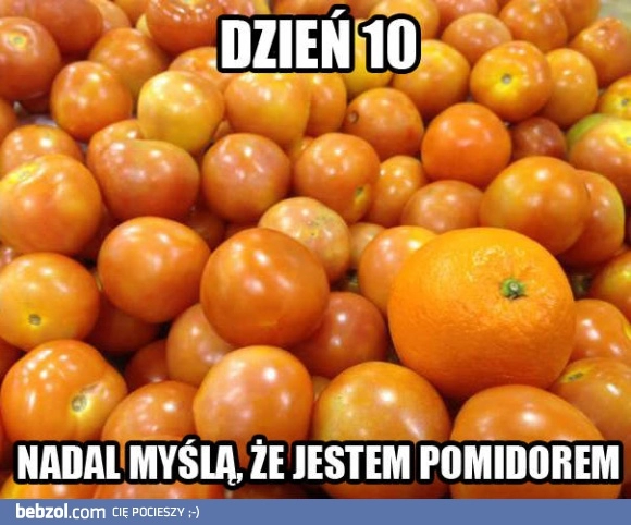 
    Wszystko zgodnie z planem