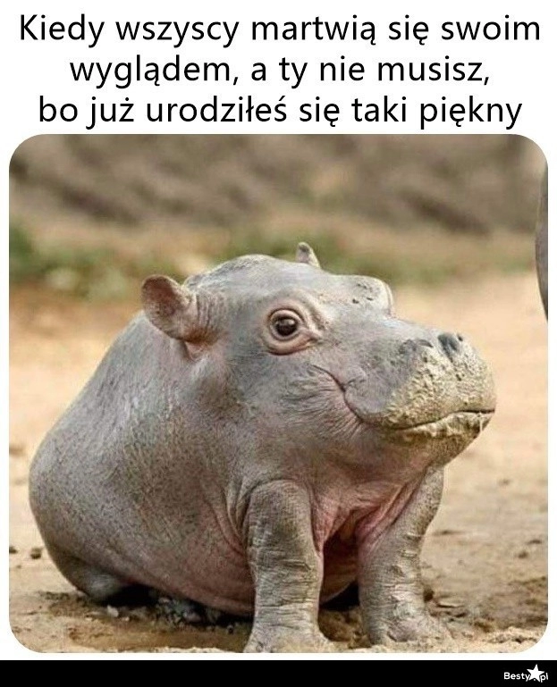 
    I to jest podejście 