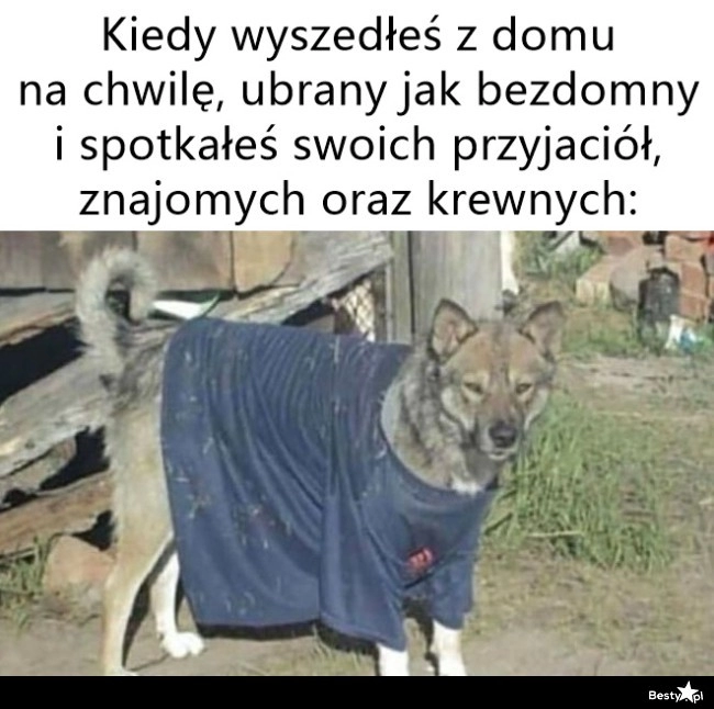 
    Jak na złość 