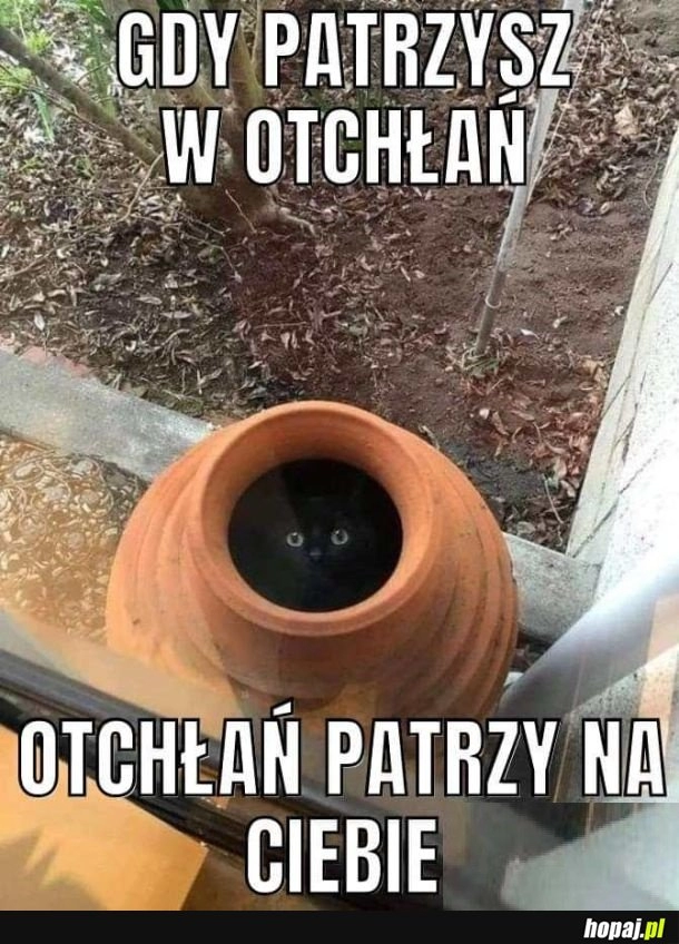 
    Otchłań