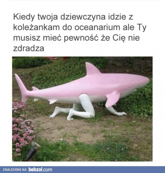 
    Muszę mieć pewność