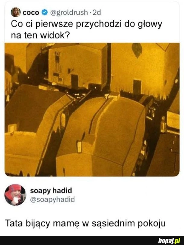 
    Ten widok